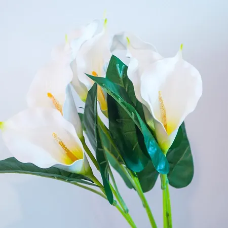 Appartement La Vie *